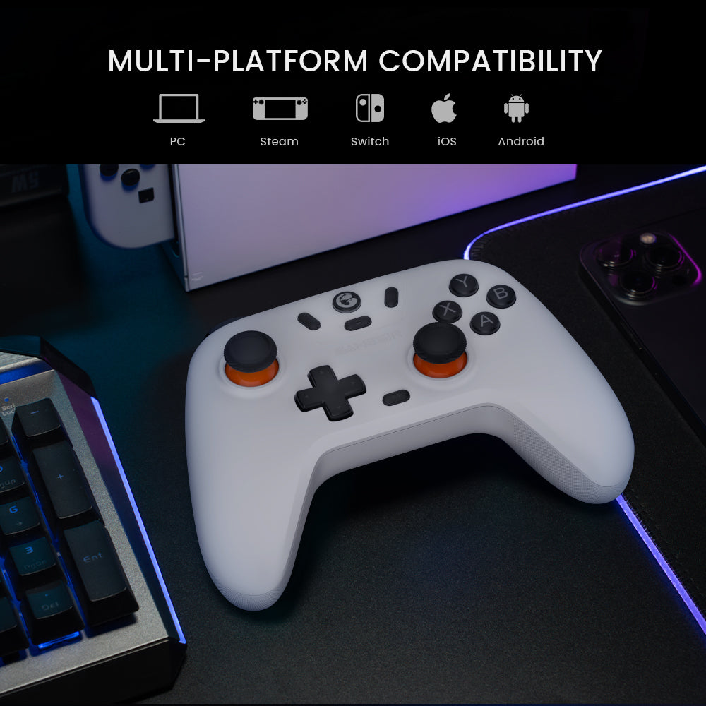 Multi-platform compatibility: steam, switch, iOS, Android