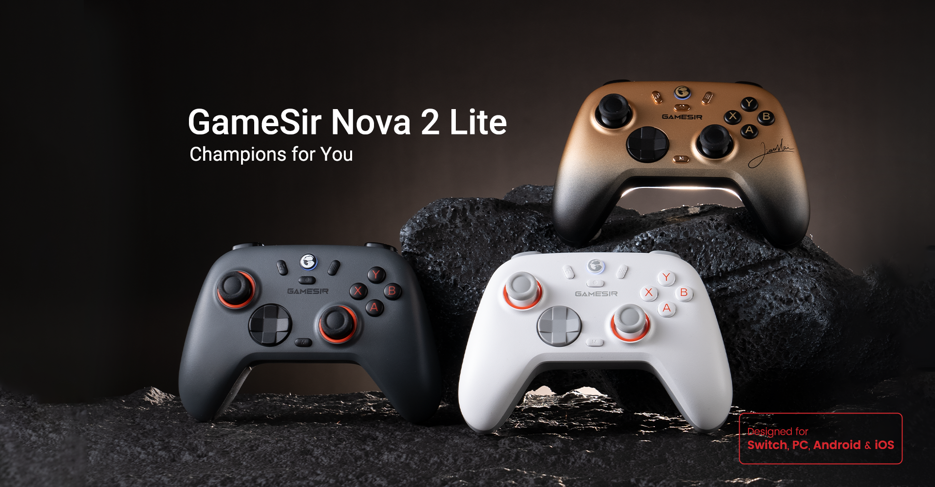 Gamesir X5 Lite product picture