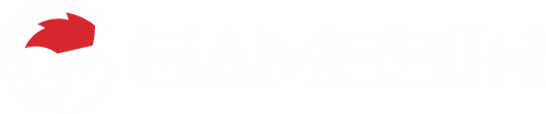 GameSir